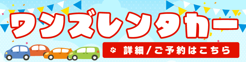 ワンズレンタカー